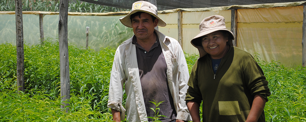 Couple d'agriculteurs boliviens