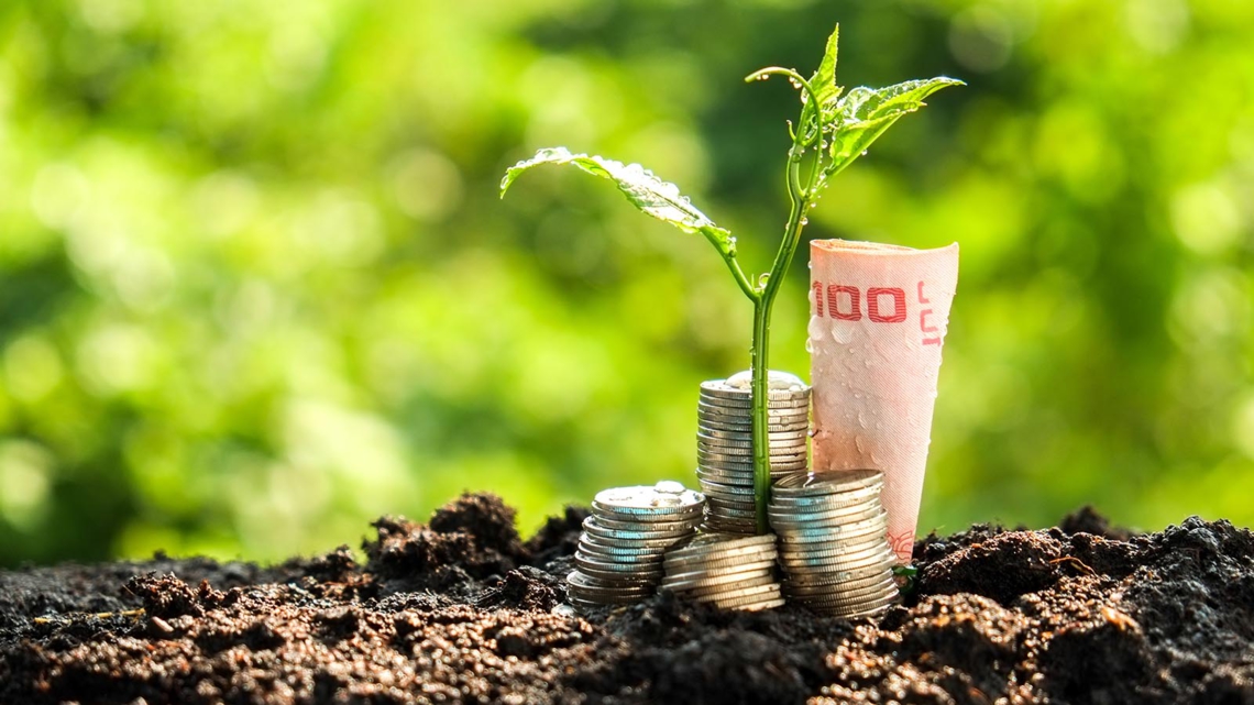 The private sector s role in promoting sustainable development i1140 - : Difficile de protéger son agriculture en Afrique