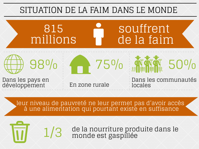infographie faim - : Quelle politique belge de coopération au développement pour lutter contre la faim dans le monde ?