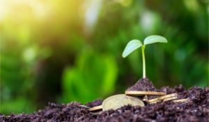 financement agriculture 1 - : Code d'éthique et de conduite