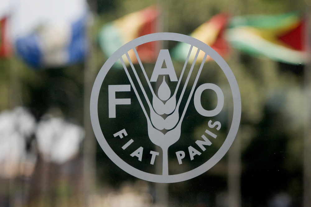 Image FAO 1000x667 1 - : L'agriculture familiale à la FAO: utopie ou réalité ?