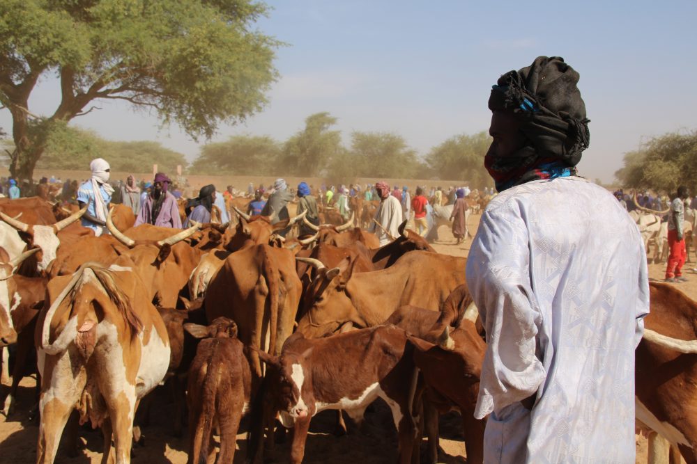 Grand angle 2JPG 1000x667 1 - : Défis sénégalait