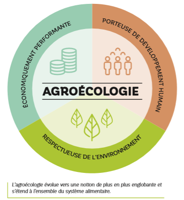 Infographie Supporterres 8 - : Demain, l'agroécologie. Peu importe le chemin...