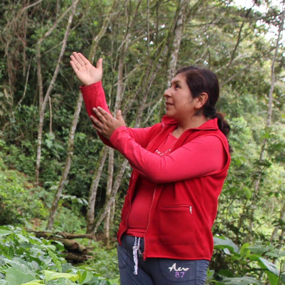Jahnet e1564395054914 1000x1000 1 - : Bolivie : l’agroforesterie au service des producteurs de café