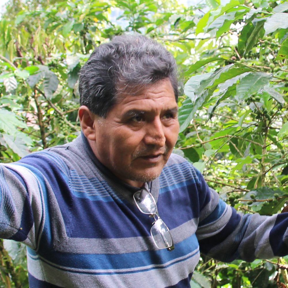 demetrio e1564395401848 1000x1000 1 - : Bolivie : l’agroforesterie au service des producteurs de café