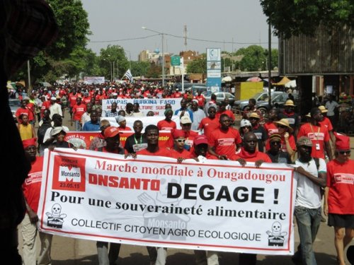 p 13 - : Quand les paysans font entendre leurs voix