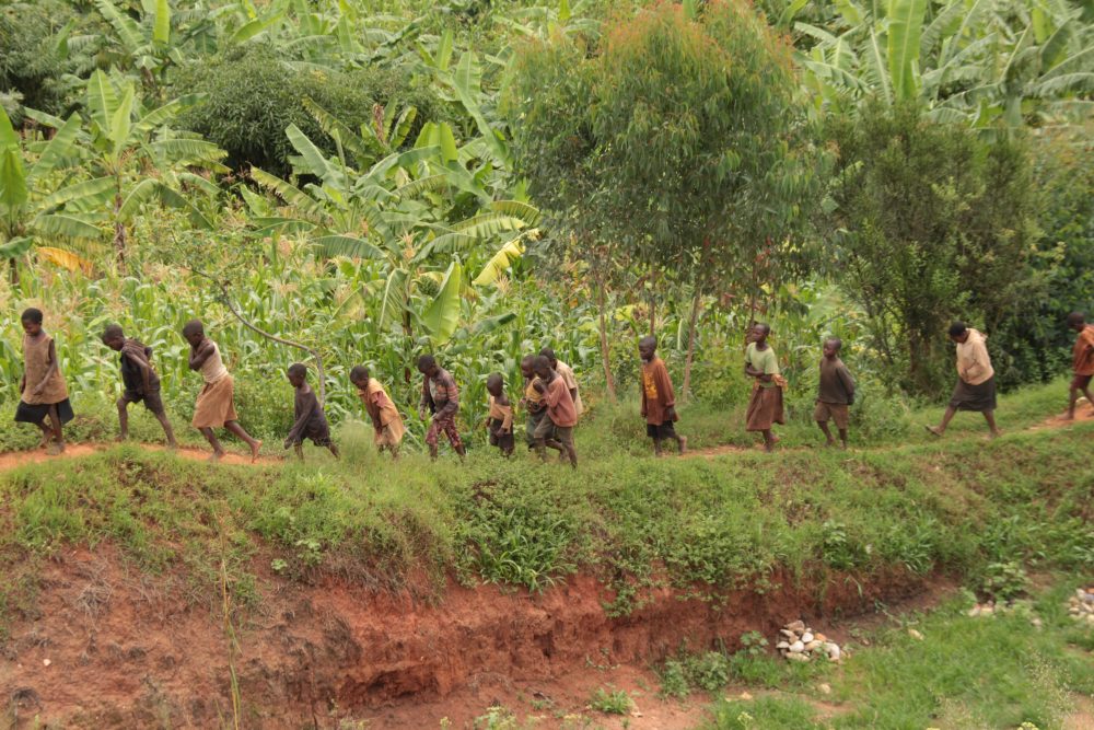 education 1000x667 1 - : Education et politique, deux leviers pour réconcilier jeunesse et agriculture