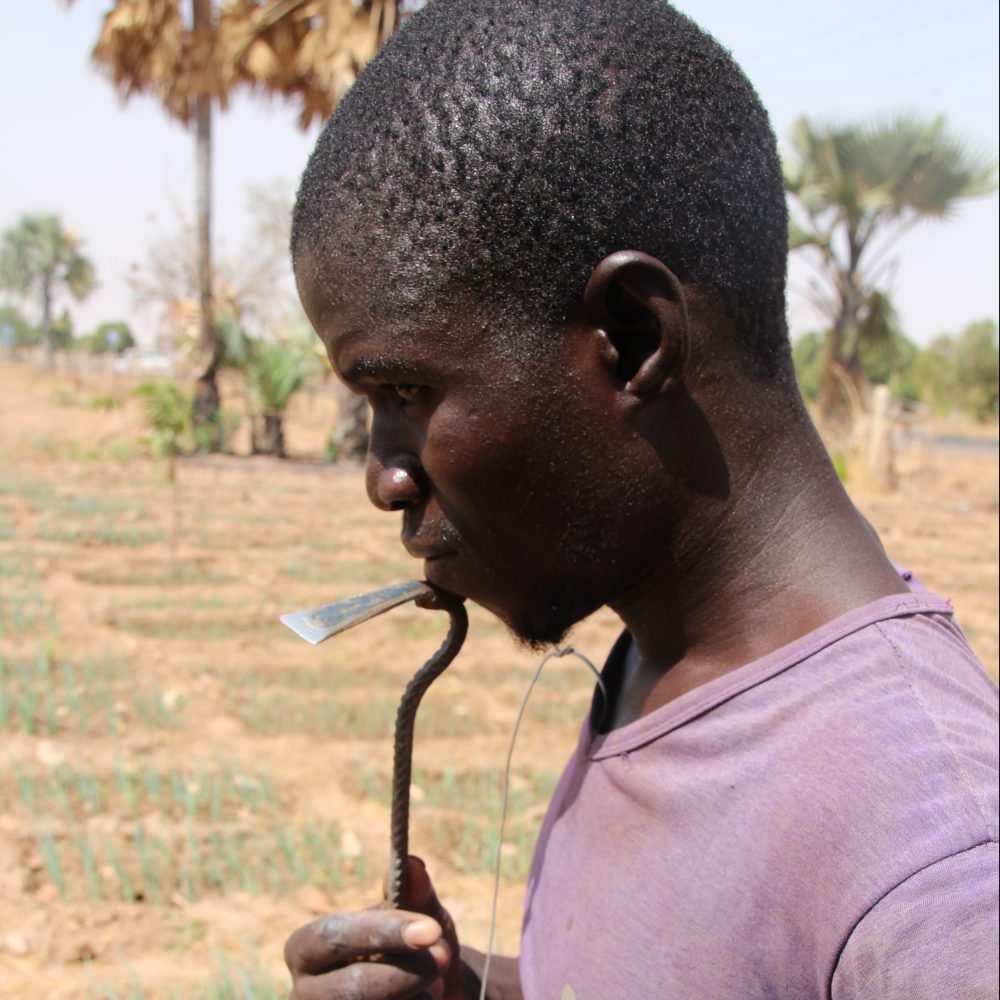 mamadou e1565087714954 1000x1000 1 - : Devenir agriculteur : un chemin semé d'embûches pour les jeunes africains