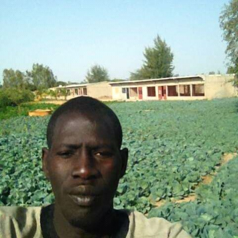 1 - : Portrait et analyse d'une Afrique qui bouge