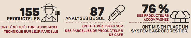 agroforesterie - : L’agroforesterie au service des producteurs de café