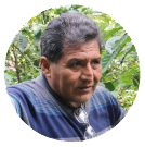 demtrio2 - : L’agroforesterie au service des producteurs de café