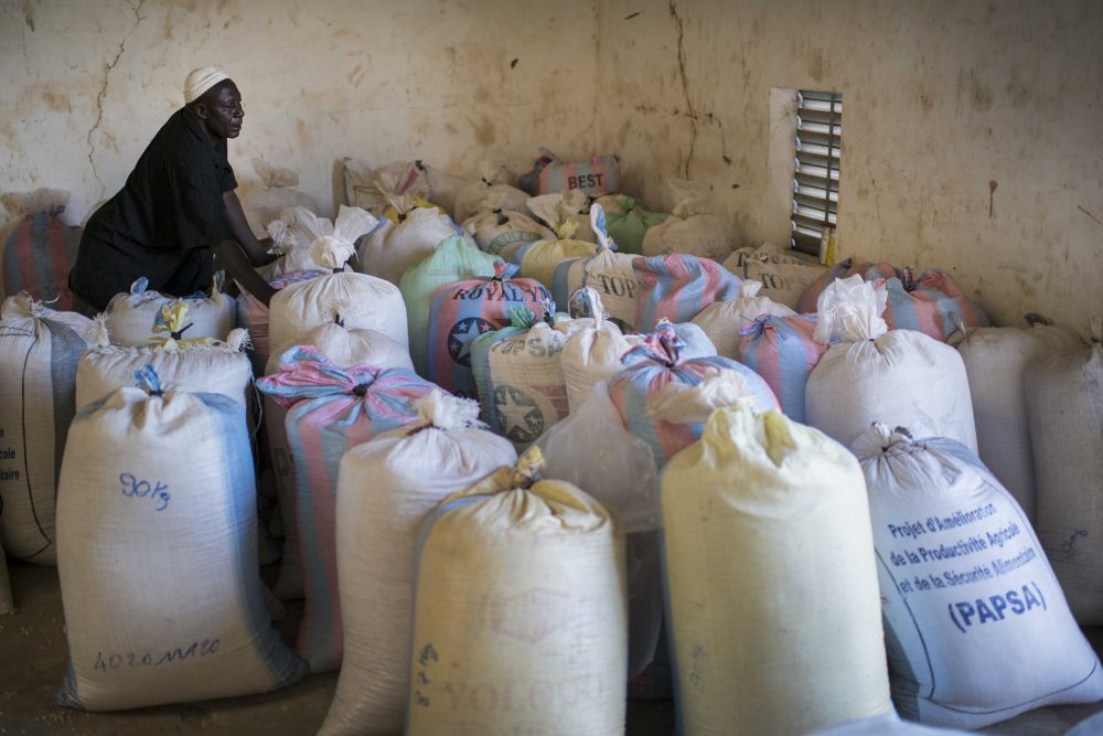 Burkina 1940 1 1000x667 1 - : Lutte contre la faim : retour à la case départ