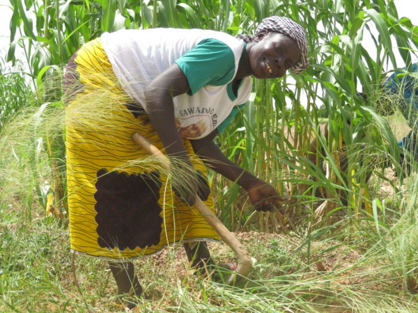IMG 3159 600x450 2 - : Retour sur 35 années d'action au Mali