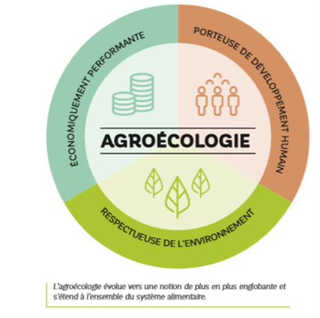 Image4 - : Agroécologie, permaculture : deux termes, une seule réalité ?