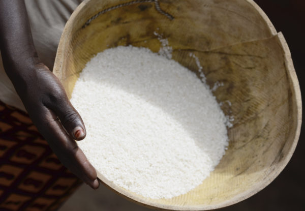 iStock 490398952 600x415 2 - : Retour sur 35 années d'action au Mali