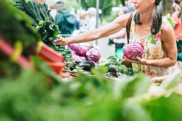 iStock 672637522 600x400 1 - : L’agroécologie, éminemment politique?
