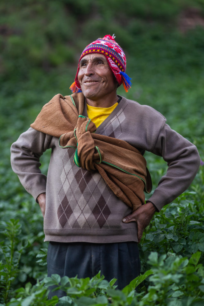 Ulderico Quispe 667x1000 1 - : De la terre à l'assiette, la diversité dans toutes ses nuances
