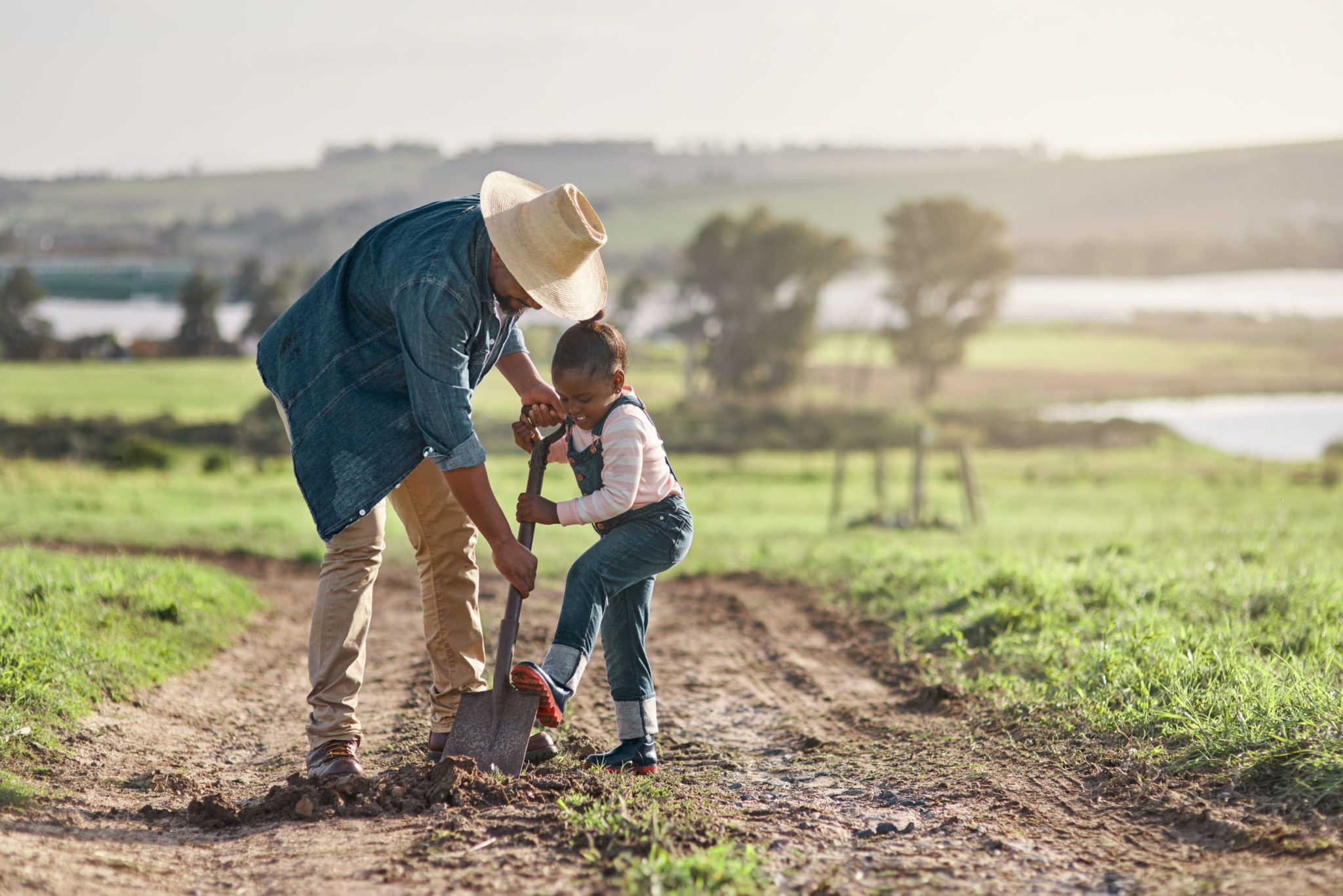 iStock 1304034433 scaled 2 - : Nourrir le monde : poser les bases d’une démocratie alimentaire