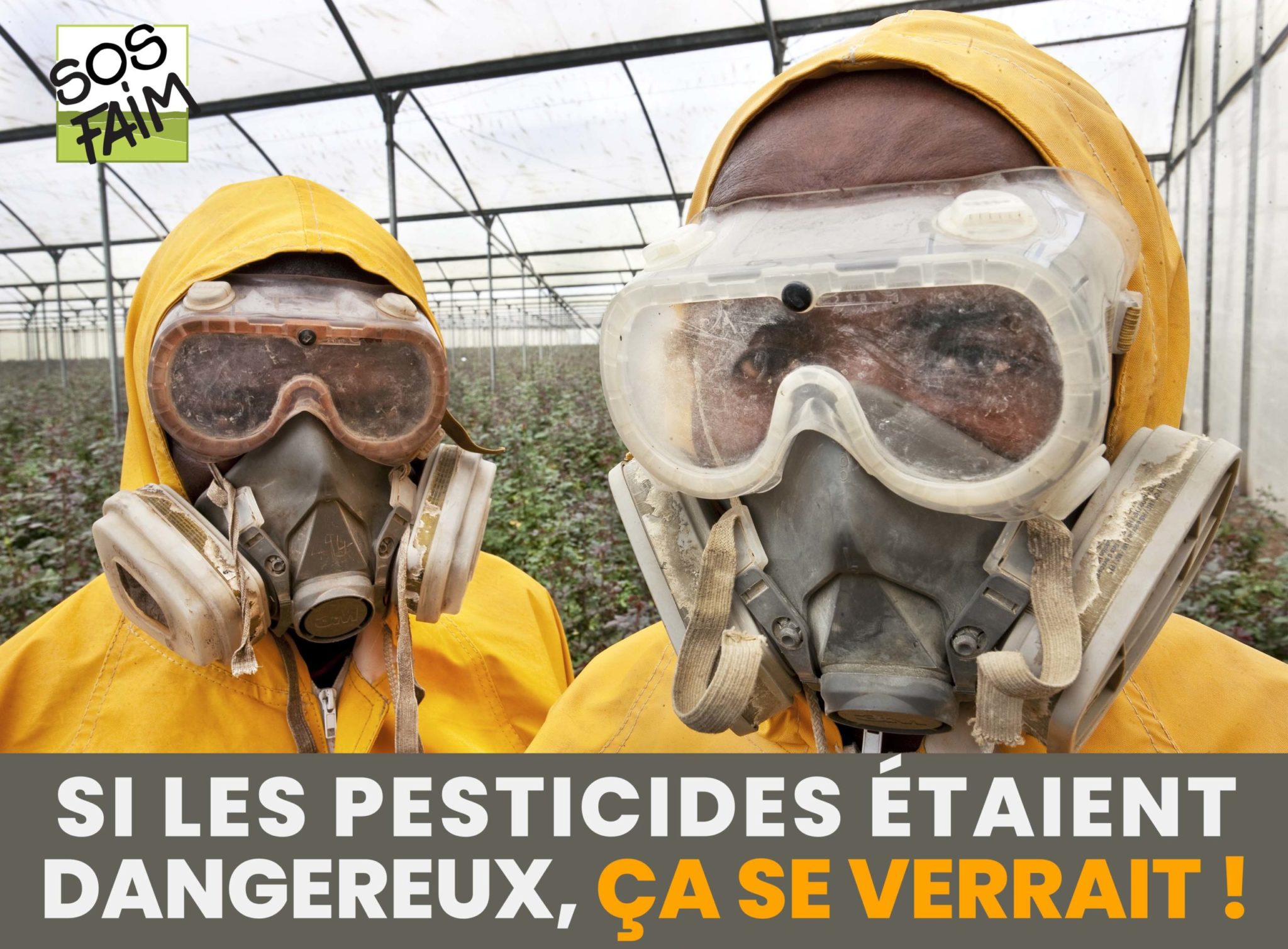 Header campagne scaled 2 - : Le Congo en proie aux pesticides interdits