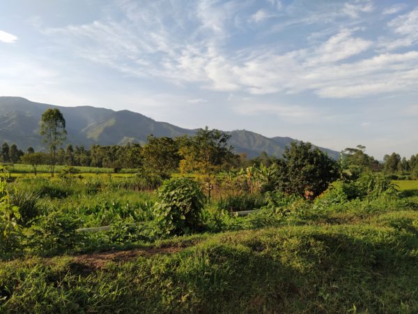 Photo Notre regard sur ouganda 600x450 1 - : En Ouganda, SOS Faim compte renforcer les dynamiques de plaidoyer en faveur de la transition agroécologie
