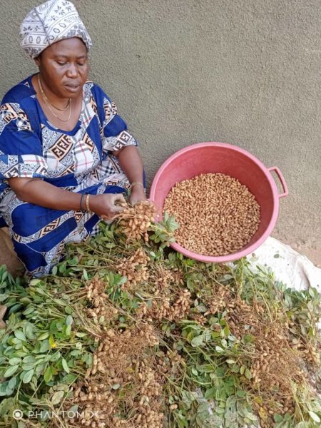 Grand angle RDC 2 450x600 1 - : Valoriser le travail des agricultrices = favoriser la sécurité alimentaire