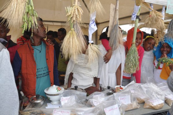 MELCA1 600x399 1 - : Les avancées technologiques ne font pas (toujours) l'avenir de l'Ethiopie