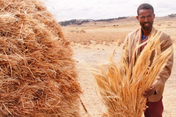 MELCA3 600x402 1 - : Les avancées technologiques ne font pas (toujours) l'avenir de l'Ethiopie