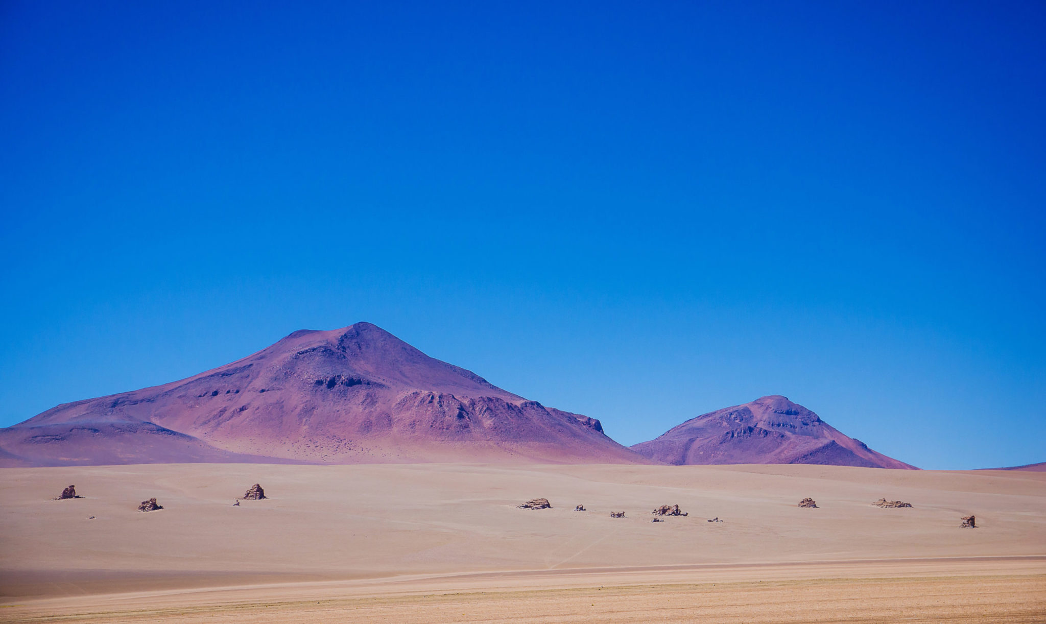 iStock 1341997582 scaled 3 - : COP 27 : les revendications des sociétés civiles en Bolivie et en Ouganda