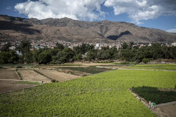221125PAP161 600x397 1 - : L'agriculture péri-urbaine gagne du terrain en Bolivie