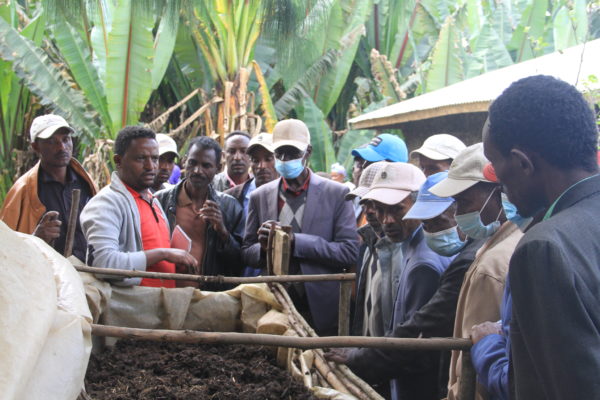 5. Exprience Sharing 600x400 1 - : Les vers à la rescousse des sols ?🪱