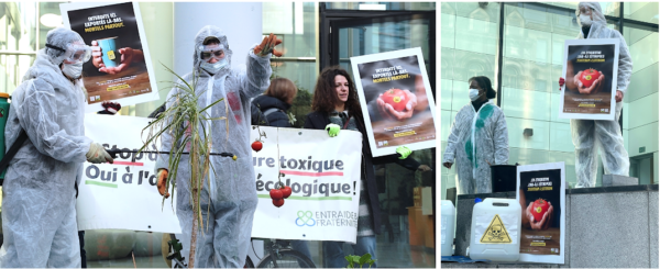 Capture decran 2022 12 08 a 18.46.07 1 600x245 1 - : ACTION POUR UNE INTERDICTION D’EXPORTATIONS DES PESTICIDES INTERDITS