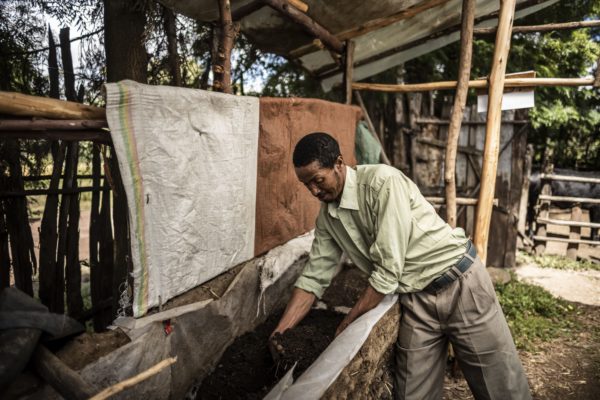 Compressee1 600x400 1 - : Les vers à la rescousse des sols ?🪱