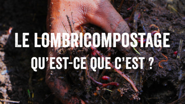 Def lombri avec ver 600x338 1 - : Les vers à la rescousse des sols ?🪱