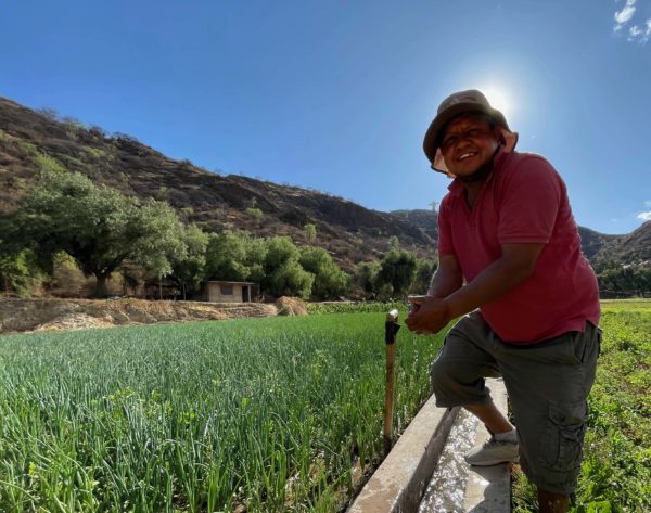 IMG 2966 600x473 1 - : L'agriculture péri-urbaine gagne du terrain en Bolivie