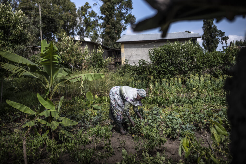 agricultrice éthiopienne travaillant dans son potager