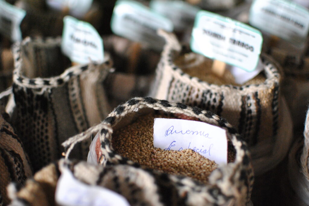 Sacs de quinoa péruvien