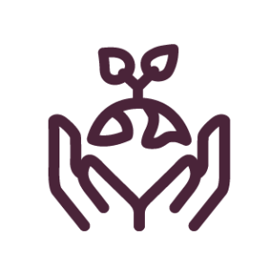 icone