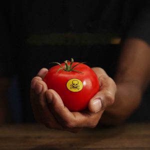 Pesticides interdits : la Belgique interdit leur exportation, une victoire citoyenne historique