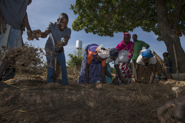 GRAND ANGLE 1 B 600x400 1 - : En Côte d’Ivoire, des forêts communautaires pour un défi de taille
