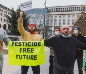 Les coûts cachés de notre alimentation : quelles solutions pour un monde plus juste ?