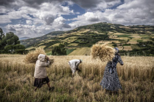 VOIX DU SUD cOlivier Papegnies - : Sustainable food policy in Ethiopia: a proposal put to the government by civil society