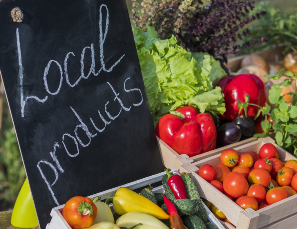 iStock 1193489879 scaled e1709676455107 - : Idées reçues et fausses bonnes solutions