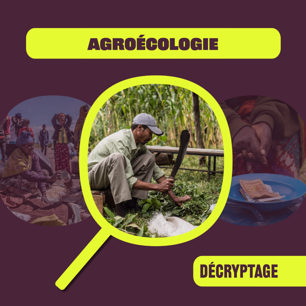 Decryptage agroecologie RS2 - : L'agroécologie avec Humundi