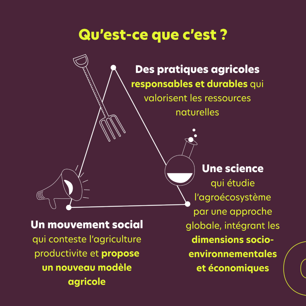 Decryptage agroecologie RS3 - : L'agroécologie avec Humundi