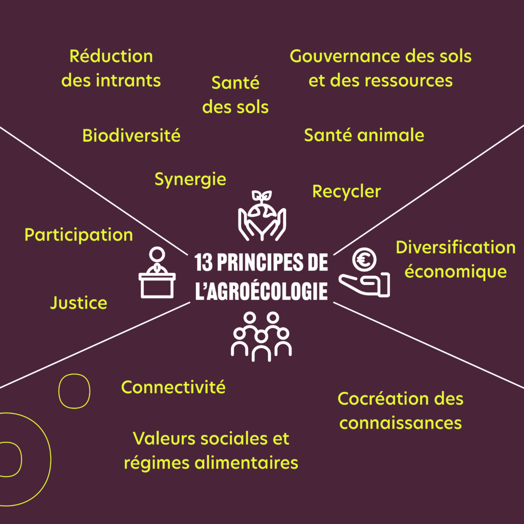 Decryptage agroecologie RS4 - : L'agroécologie avec Humundi