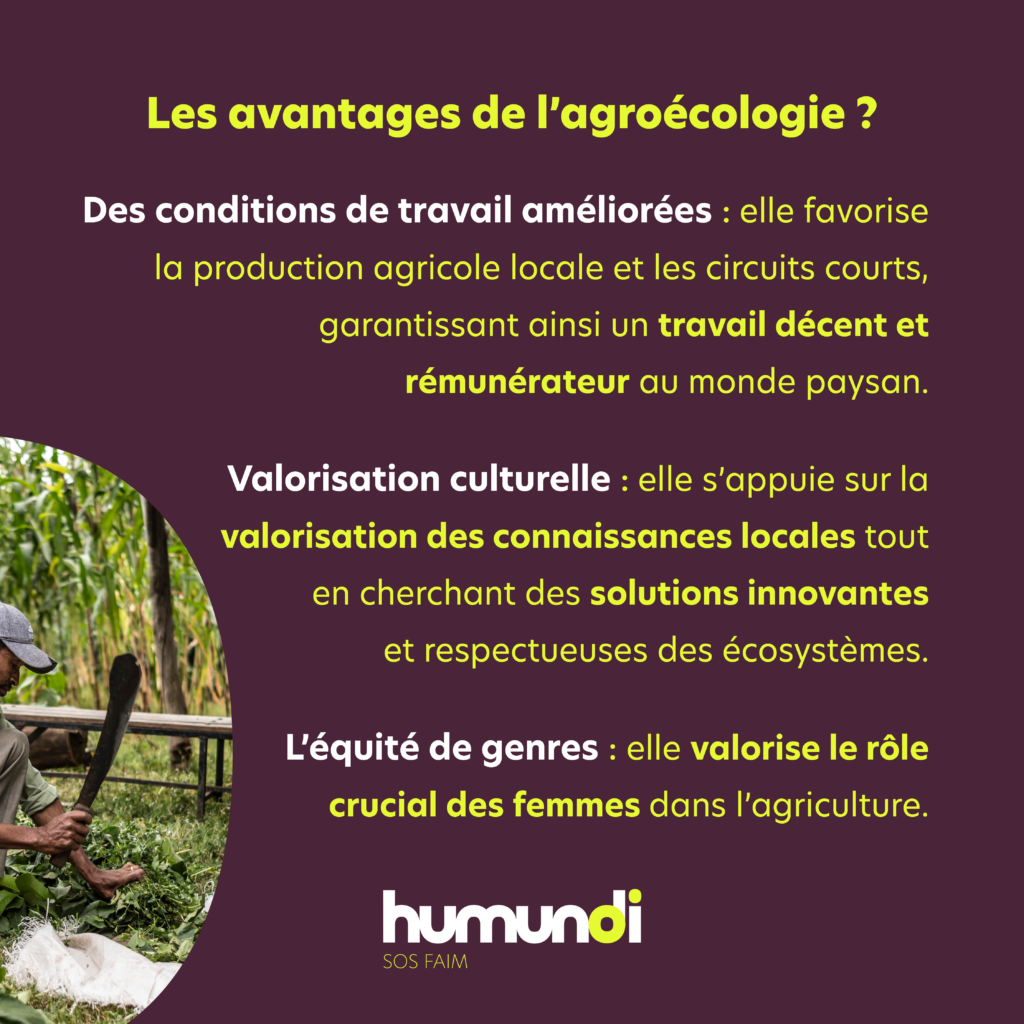 Decryptage agroecologie RS6 - : L'agroécologie avec Humundi