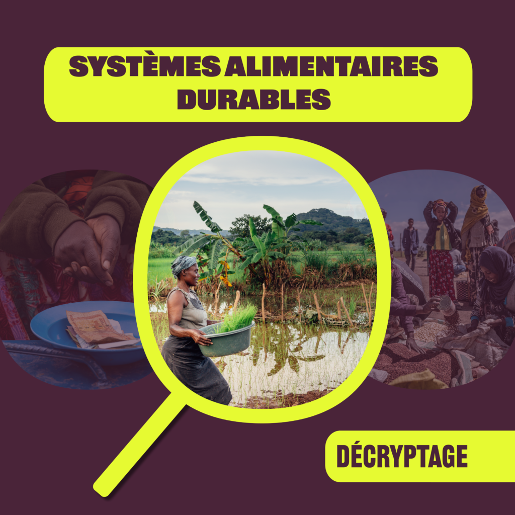Decryptage SAD - : Systèmes alimentaires durables avec Humundi