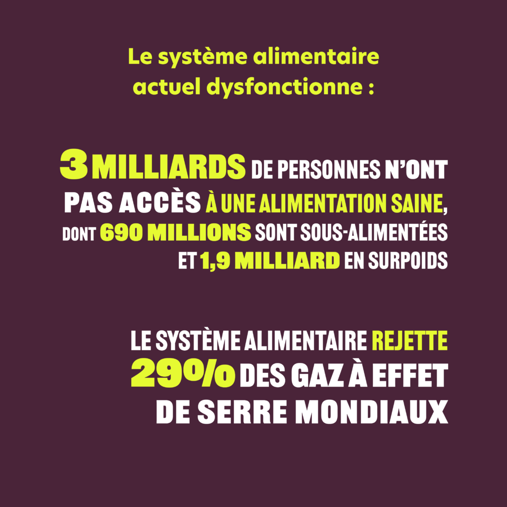 Decryptage SAD5 - : Systèmes alimentaires durables avec Humundi
