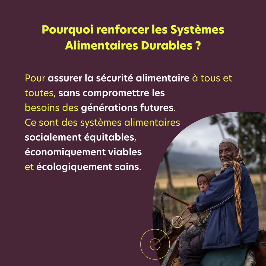 Decryptage SAD6 - : Systèmes alimentaires durables avec Humundi