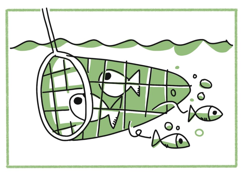 Preferer du ​Poisson non surpeche​ - : Faire des choix de consommation engagés